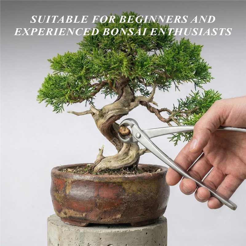 Concave Branch Cutter - Zestaw narzędzi do bonsai AWAH -