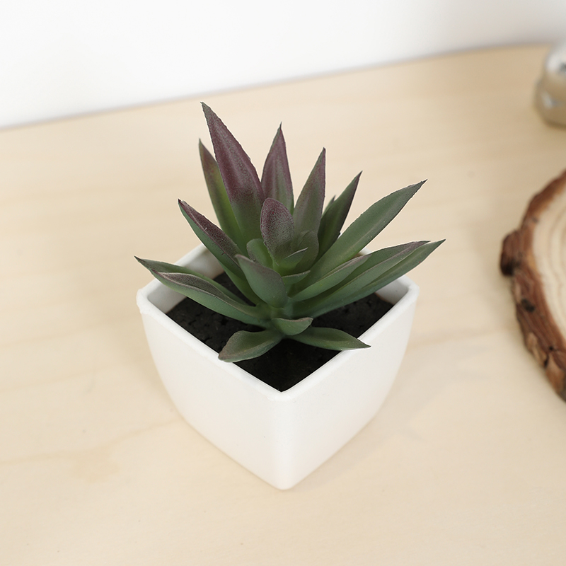 Bonsai Garden Mini - Mini sztuczny soczysty kubek wróżki mała