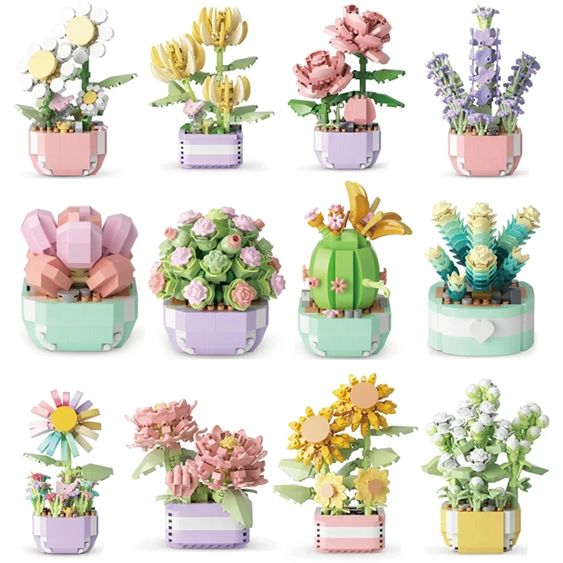 Sukulenty kwiatowe klocki wiec – Bonsai Garden Pot recenzja i cena