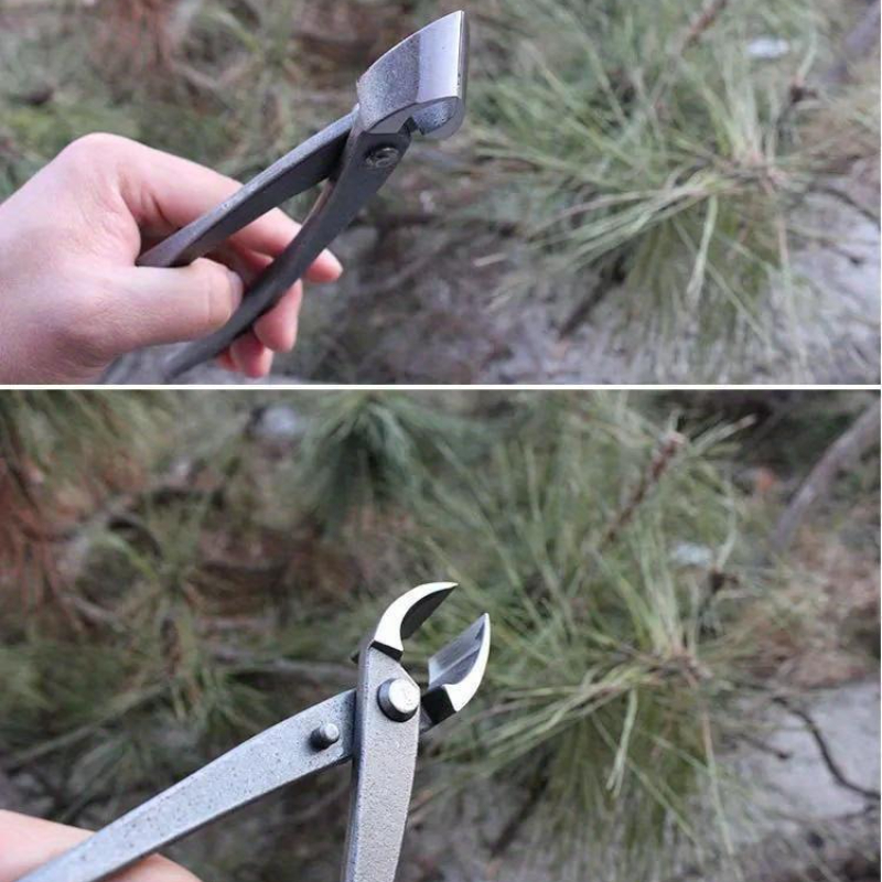 Obcinak do bonsai z wklęsłą kr – Concave Branch Cutter recenzja i cena