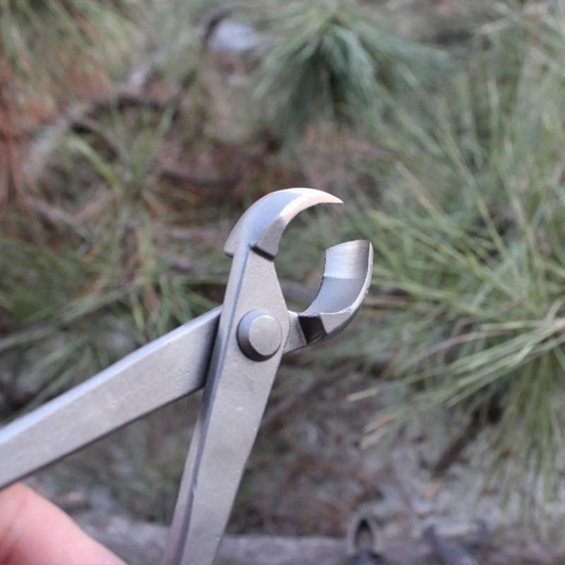 Obcinak do bonsai z wklęsłą kr – Concave Branch Cutter recenzja i cena