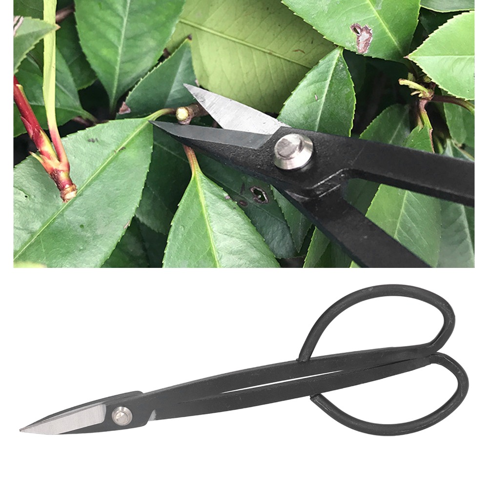 Nożyczki do bonsai ze stali ni – Concave Branch Cutter recenzja i cena