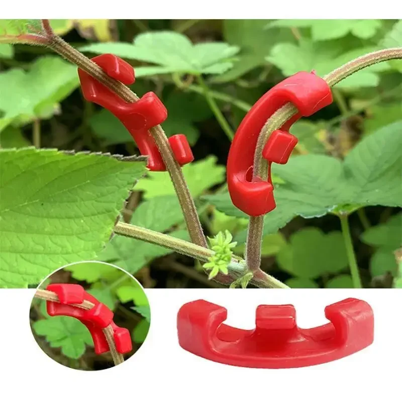 10-100 szt. Klipsów do wyginan – Concave Branch Cutter recenzja i cena