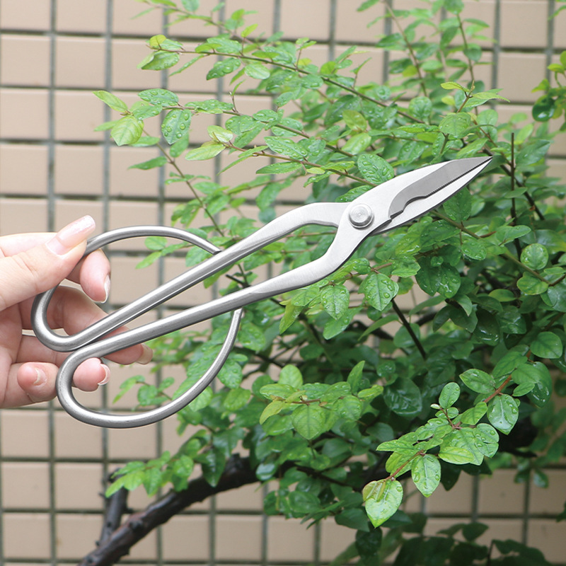 Nożyce ogrodowe w całości ze s – Concave Branch Cutter recenzja i cena