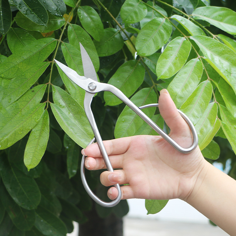 Nożyce ogrodowe w całości ze s – Concave Branch Cutter recenzja i cena