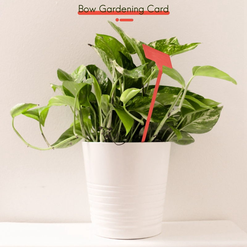 ABYP Ogrody Narzędzia do sadze – Bonsai Garden Tools recenzja i cena