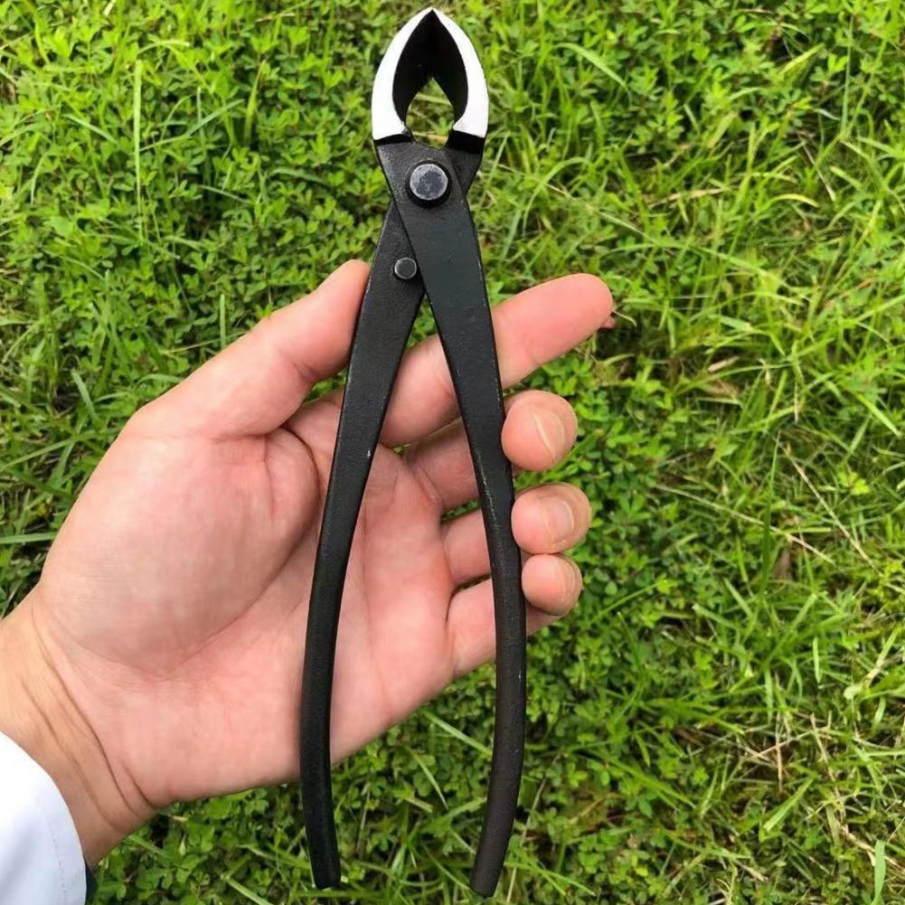 Obcinak do gałęzi bonsai z wkl – Concave Branch Cutter recenzja i cena