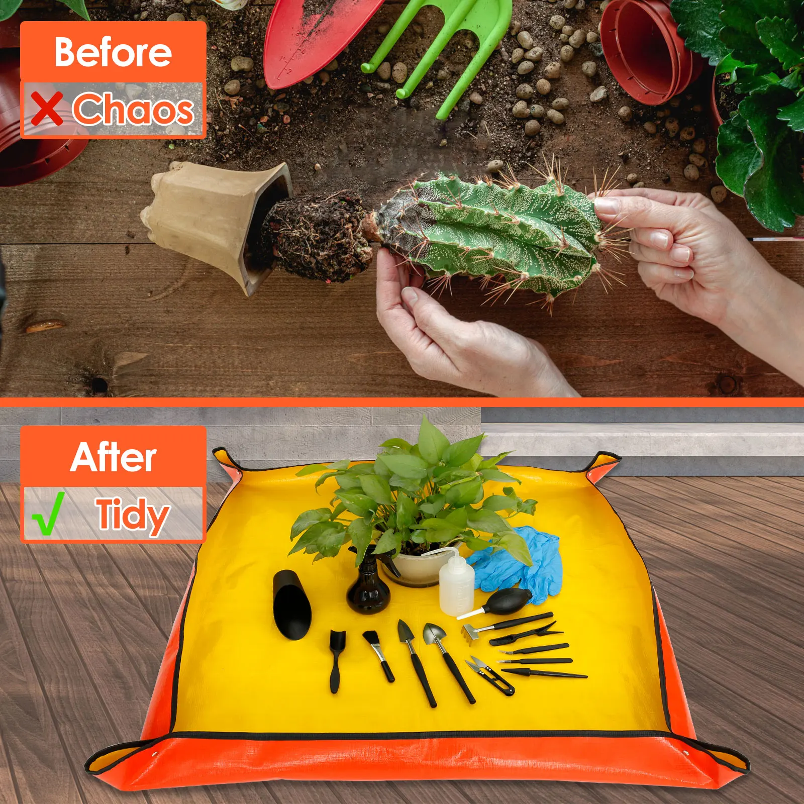 13/16 sztuk ogrodowe sukulenty – Bonsai Garden Tools recenzja i cena