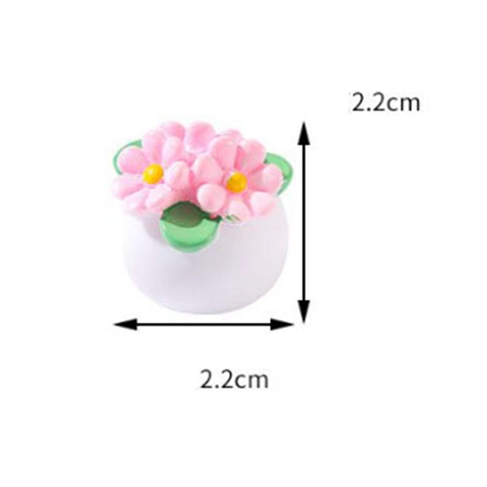 Miniaturowa doniczkowa roślina – Bonsai Garden Pot recenzja i cena