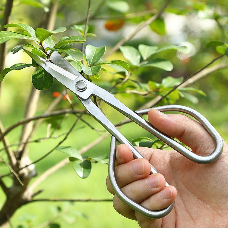 Nożyczki do drzewek bonsai Ten – Concave Branch Cutter recenzja i cena