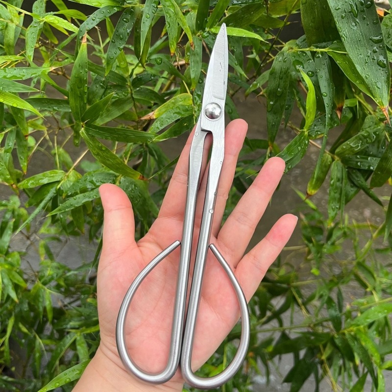 Nożyczki do drzewek bonsai Ten – Concave Branch Cutter recenzja i cena