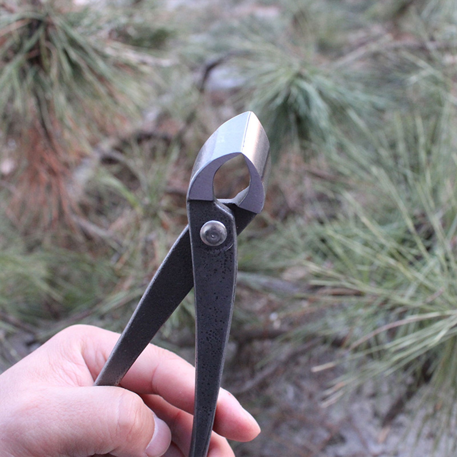 Obcinak do gałęzi bonsai, wklę – Concave Branch Cutter recenzja i cena
