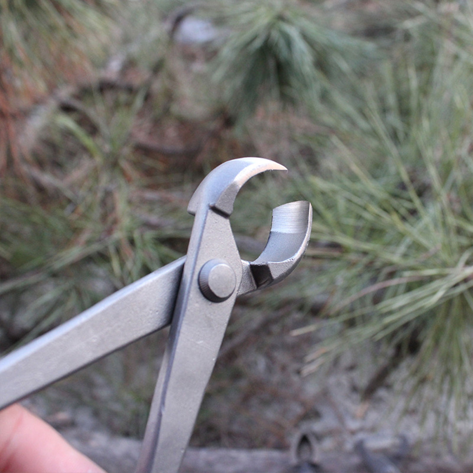 Obcinak do gałęzi bonsai, wklę – Concave Branch Cutter recenzja i cena