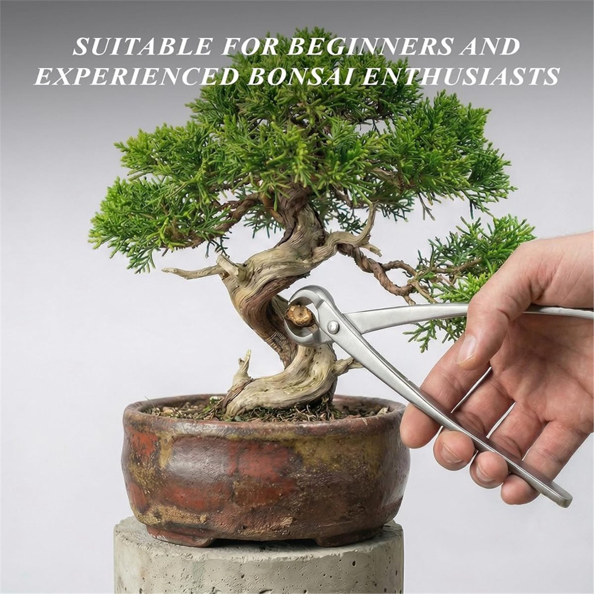 Zestaw narzędzi do bonsai AWAH – Concave Branch Cutter recenzja i cena