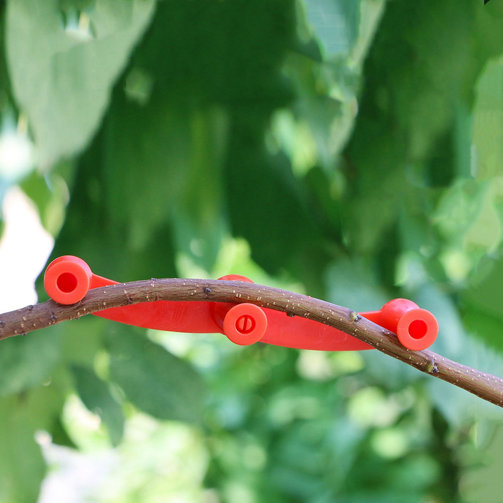 10 szt. regulowanych klipsów d – Bonsai Garden Tools recenzja i cena