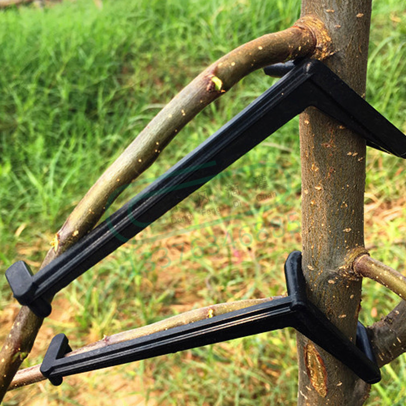 10-30 sztuk klipsy do drzew ow – Bonsai Garden Tools recenzja i cena