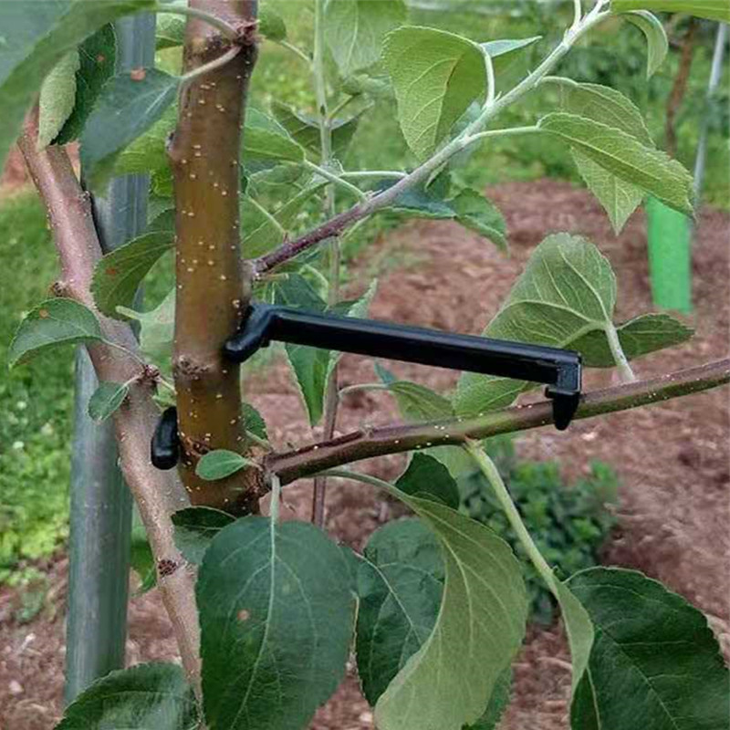 10-30 sztuk klipsy do drzew ow – Bonsai Garden Tools recenzja i cena