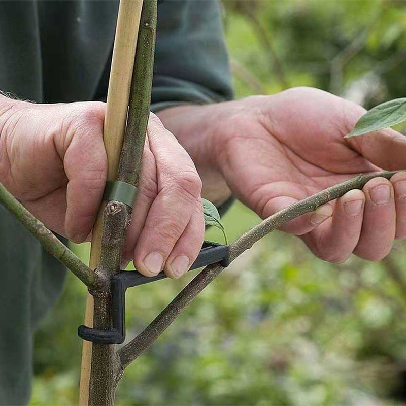 10-30 sztuk klipsy do drzew ow – Bonsai Garden Tools recenzja i cena