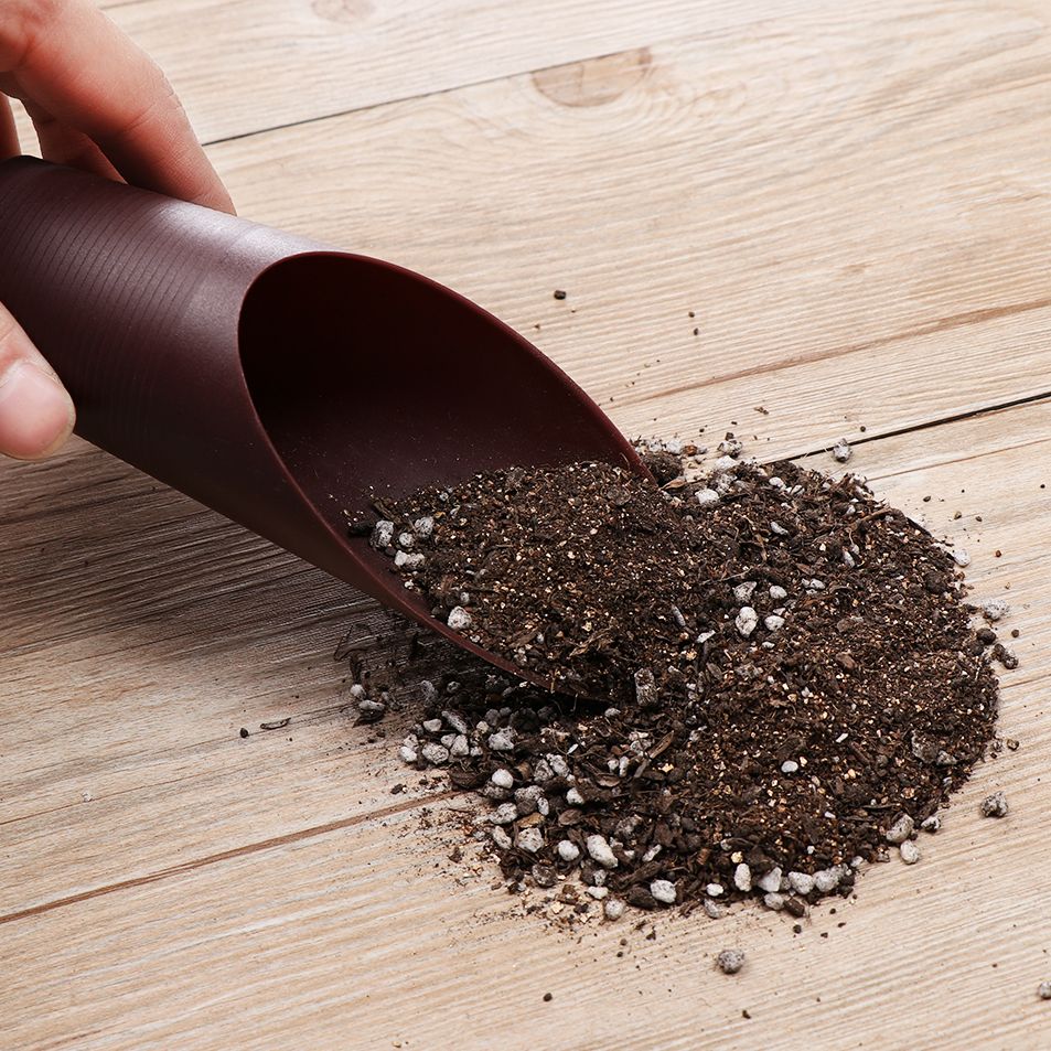 Plastikowa łopatka do gleby, k – Bonsai Garden Tools recenzja i cena